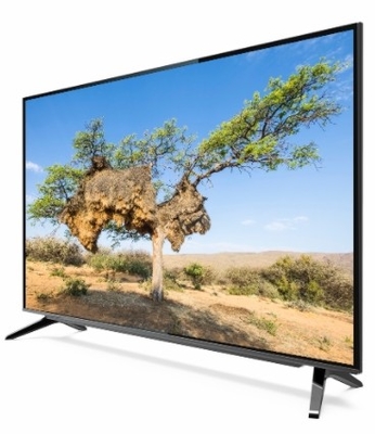 Google TV DLED Quantum Dot Film und Vesa Mount Unterstützung